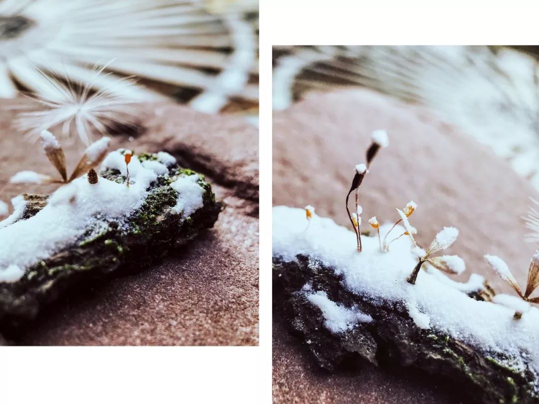 教你怎么造雪,人工造雪最简单的方法