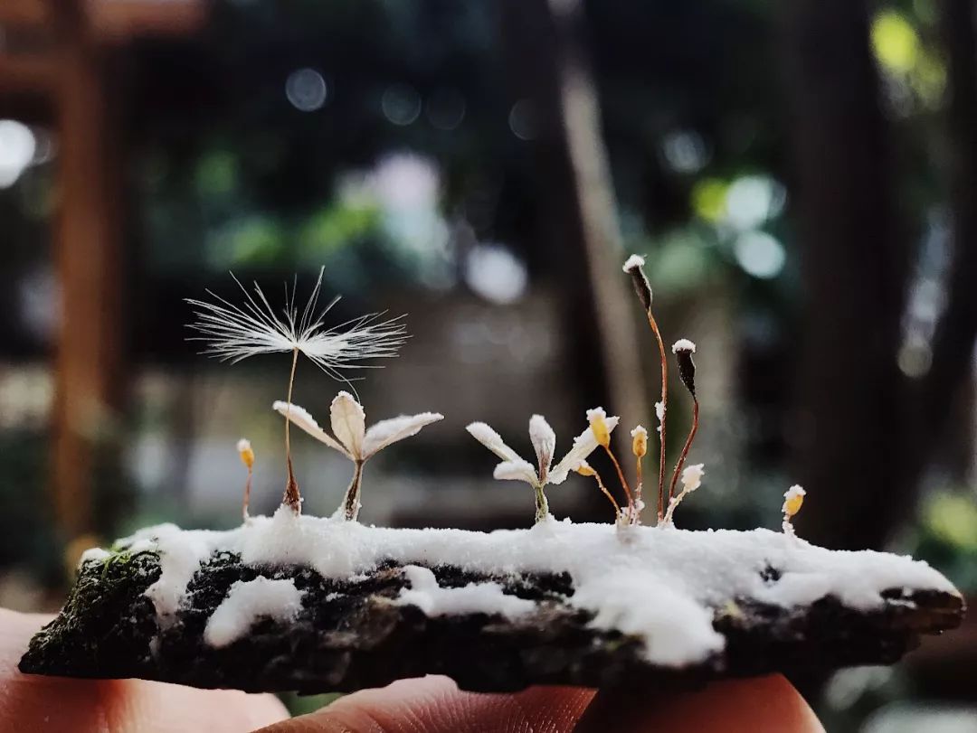 教你怎么造雪,人工造雪最简单的方法