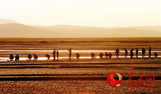 中国黄金部队支队分布,中国黄金部队简介