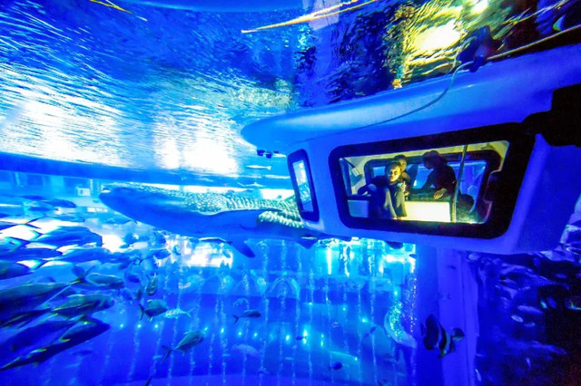 四川居然有一片蓝色海洋,成都蓝色海洋