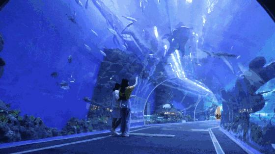 四川居然有一片蓝色海洋,成都蓝色海洋