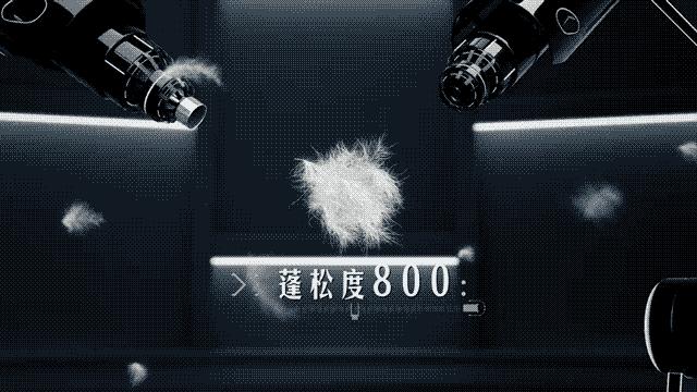 波司登小雀斑,小雀斑撞波司登