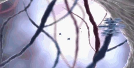 牙粉去烟渍牙结石牙膏排名第一名,美白牙膏推荐去牙黄老牌子