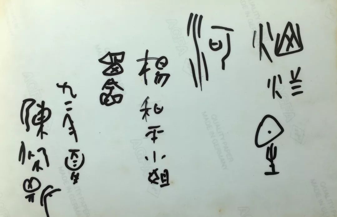 《爱在恰逢其时》杨和平：留下看得见的历史（20）