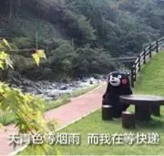 海淘怎么看需不需要税,海淘税费有限额吗