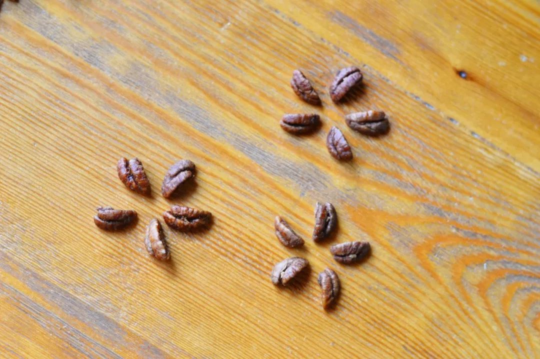 多种口味的山核桃,正宗天然山核桃