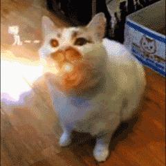 惊！天花板上掉下几滴水！下面2人重伤，咋回事？