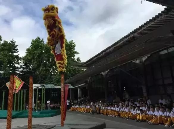 武有飞鸿、文有君璧！南海这条村“文武双全”