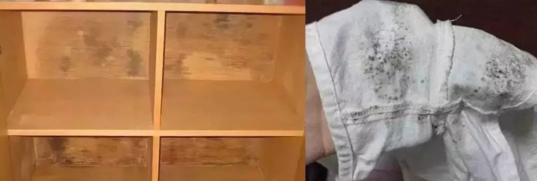 变态的日本人家居必备产品，不到两元钱就可以告别衣物发霉和蚊虫！可以用一辈子！