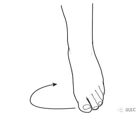 踝关节韧带核磁断层解剖图,踝关节外侧副韧带的功能解剖