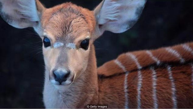 人工智能如何改变it和视听行业,人工智能ai改变人类
