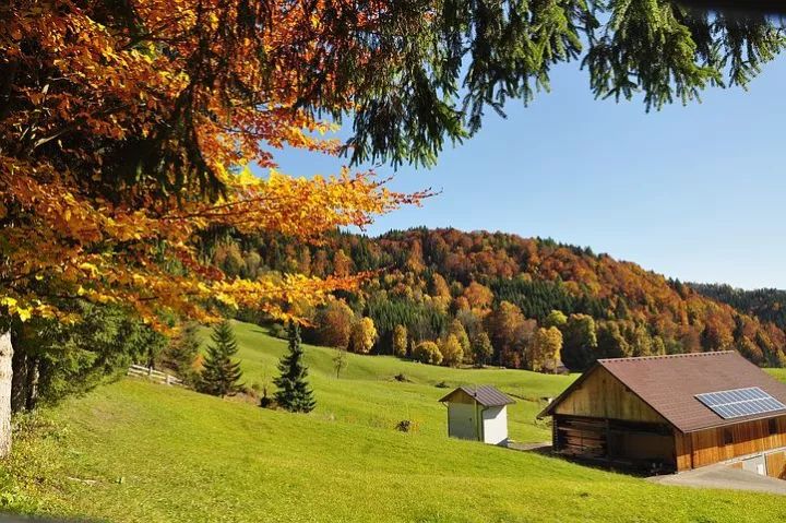 九旬清华名教授夫人断食结束生命，感悟太多令人无眠