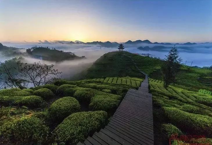 瀹ｆ仼鏃呮父浼樻儬,瀹ｆ仼鏃呮父璐墿鎺ㄨ崘