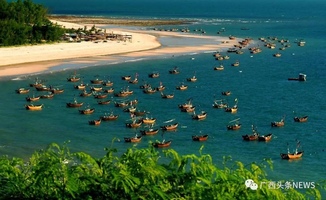 广西再添国家级生态名片,广西再添3个国家湿地公园