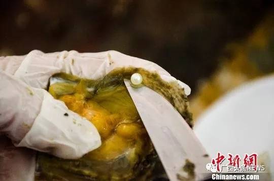 广西再添国家级生态名片,广西再添3个国家湿地公园