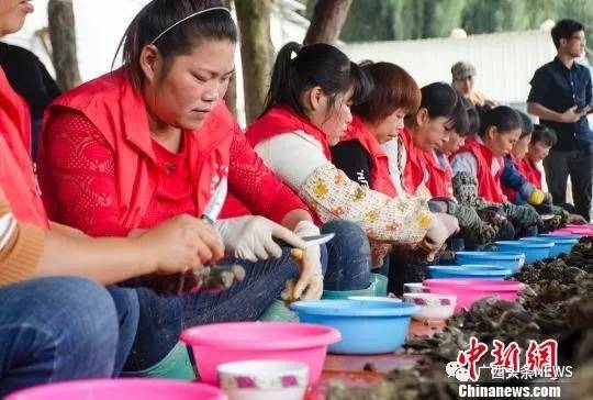 广西再添国家级生态名片,广西再添3个国家湿地公园