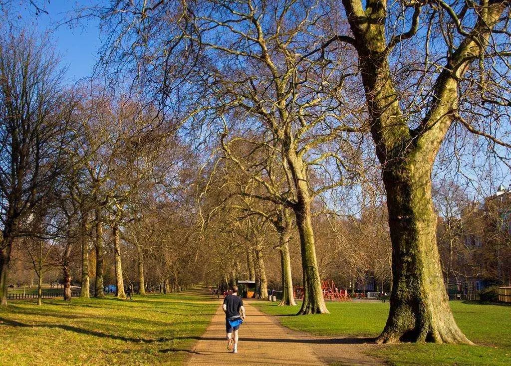 学生在学校被同学撞伤没有摄像头,在学校被同学撞伤需要报警吗