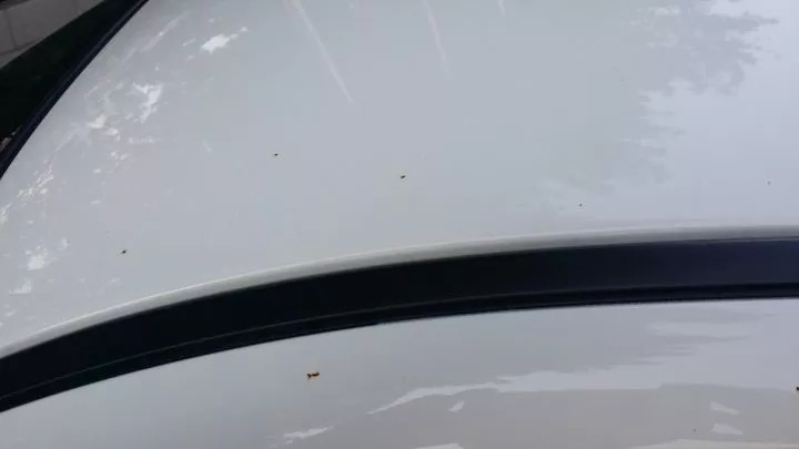 汽车保养好了怎么清除保养提示,不锈钢生锈处理后怎么保养