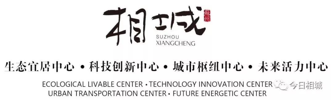 黑芝麻蛋黄肉松软糯香甜的青团子,苏州哪里的青团子比较好吃啊