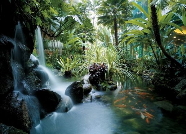 新加坡香格里拉大酒店视频,新加坡香格里拉酒店几星级