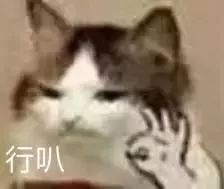 支付宝花花卡怎么看有没有中奖,支付宝花花卡怎么查中奖没有