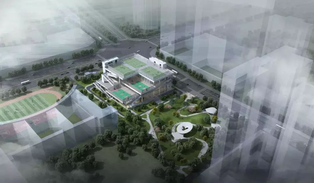 家门口休闲好去处,蛇口文体公园什么时候建好