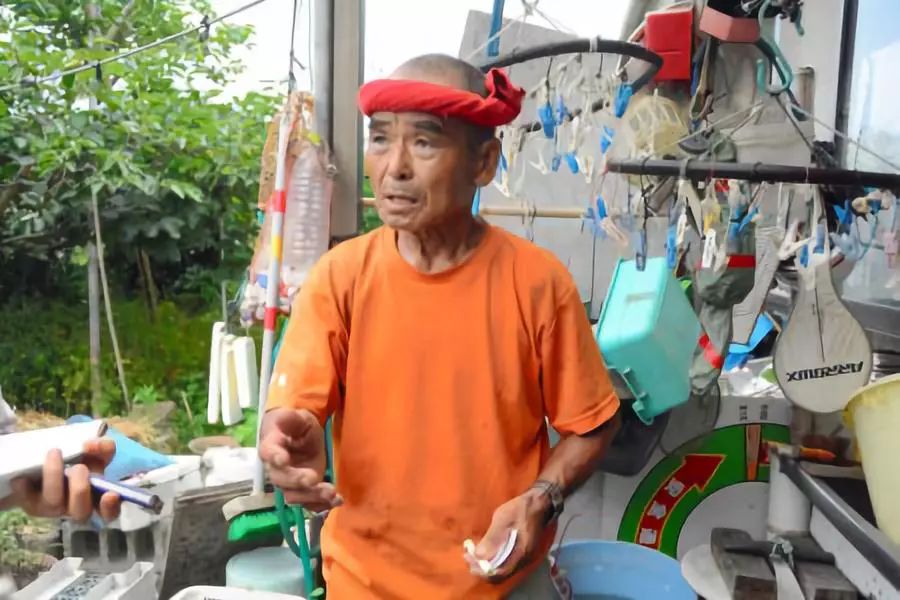 中日流行语,官宣2022十大流行语你最熟悉哪个