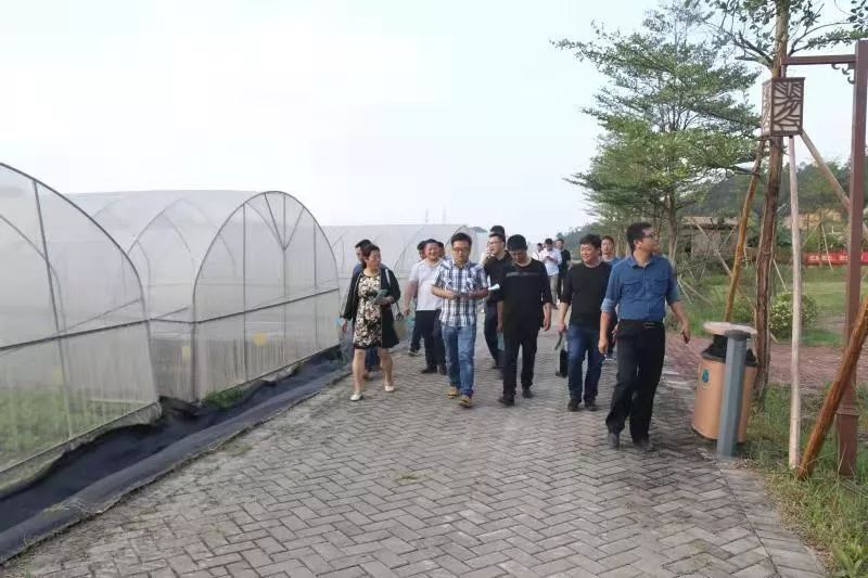 福贡县考察团来了，去了白蕉这些地方……