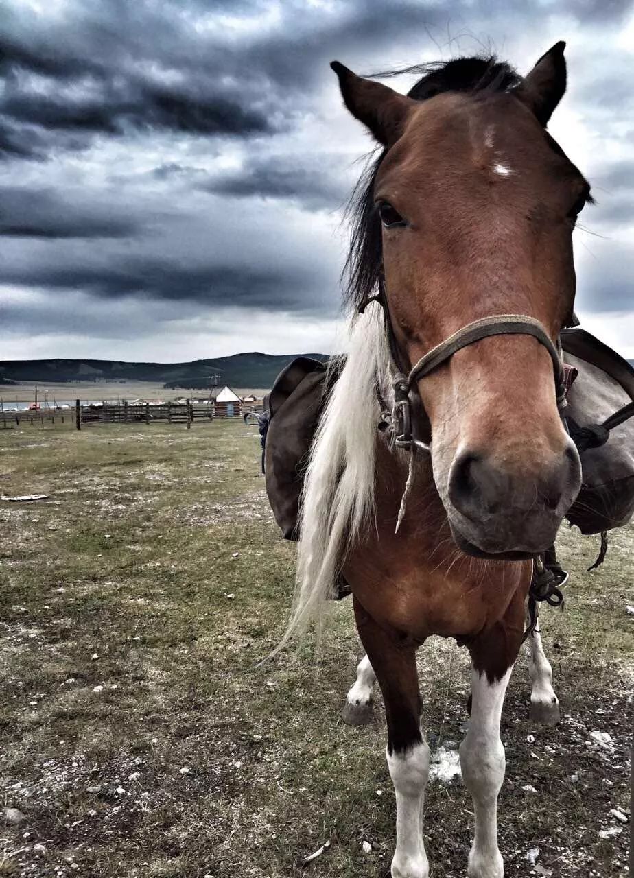 那个开着旅行咖啡车的女孩，暂别荒野重返都市