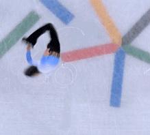 冰上花滑仙女,日本冰上仙女花样滑冰