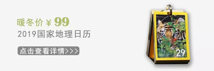 zara新款女士口红测评 (zara樱桃红色口红)