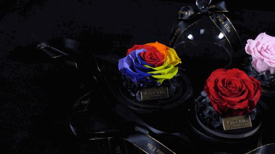 送女朋友的圣诞礼物推荐 (送女友的圣诞礼物好推荐)