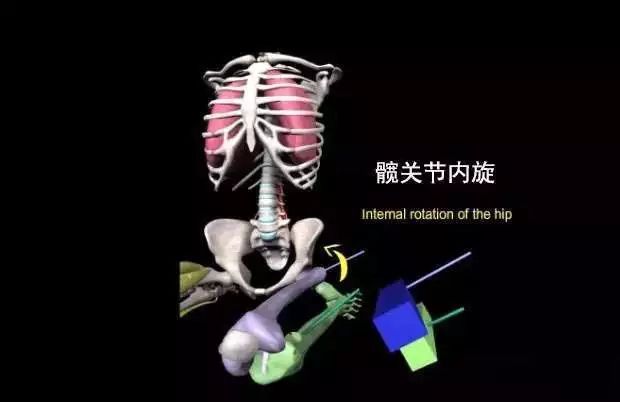 瑜伽金刚离心跪,瑜伽金刚跪的热身体式