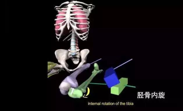 瑜伽金刚离心跪,瑜伽金刚跪的热身体式