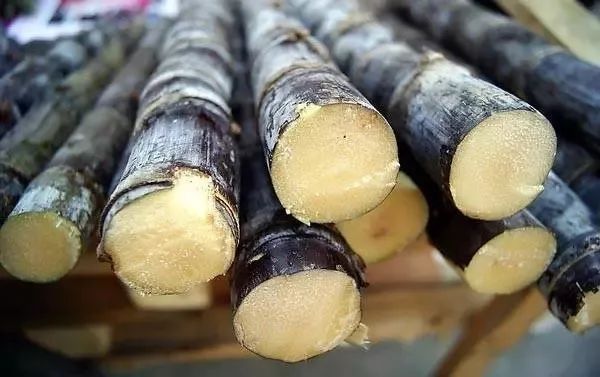 速冻模式该穿什么衣服,速冻模式怎么降温