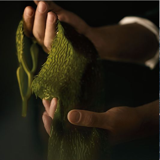 鲜货+浮力｜你有一份圣诞好礼清单待签收（下）