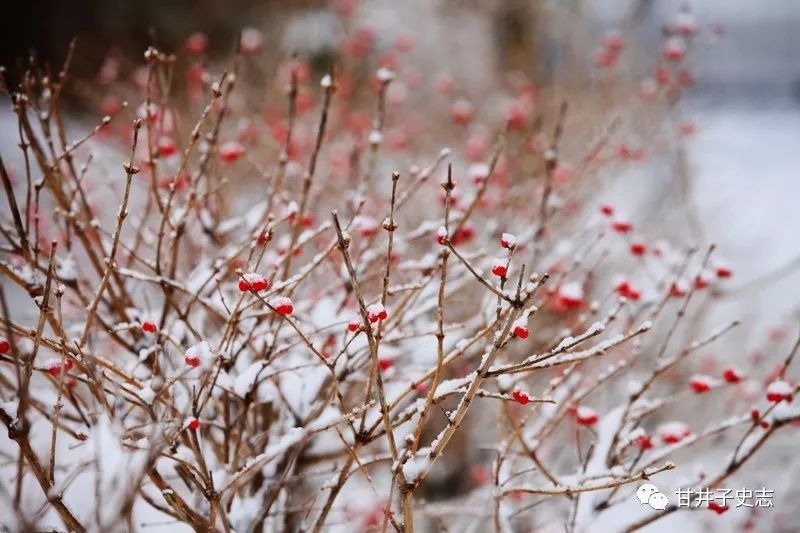 甘井子区有什么玩的,大连甘井子区有什么玩的