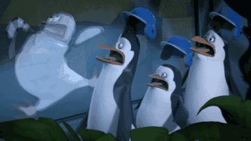 担心！这家哈达店的菜花紫甘蓝，那家地利生鲜的韭菜，还有这些家的菠菜油菜老黄瓜……丨13批次菜肉抽检腐霉利、毒死蜱检出不合格