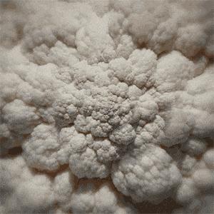 担心！这家哈达店的菜花紫甘蓝，那家地利生鲜的韭菜，还有这些家的菠菜油菜老黄瓜……丨13批次菜肉抽检腐霉利、毒死蜱检出不合格