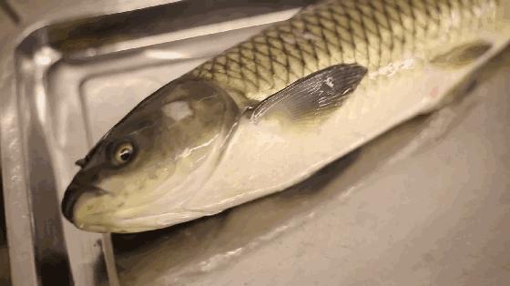 担心！这家哈达店的菜花紫甘蓝，那家地利生鲜的韭菜，还有这些家的菠菜油菜老黄瓜……丨13批次菜肉抽检腐霉利、毒死蜱检出不合格