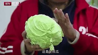 担心！这家哈达店的菜花紫甘蓝，那家地利生鲜的韭菜，还有这些家的菠菜油菜老黄瓜……丨13批次菜肉抽检腐霉利、毒死蜱检出不合格