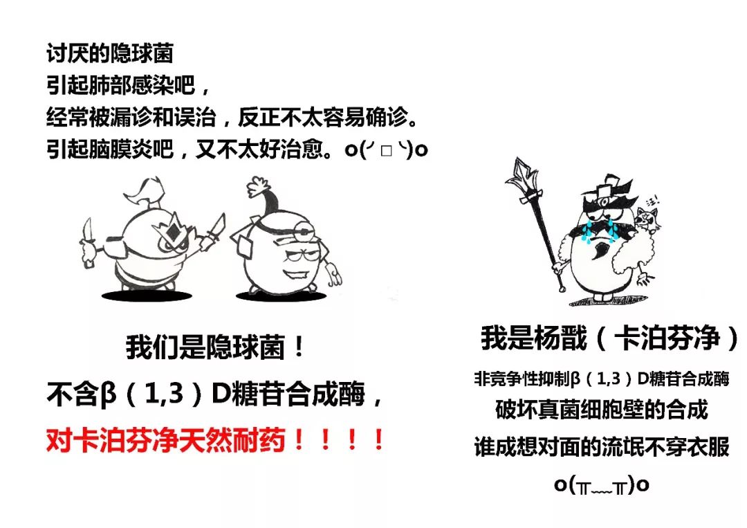隐球菌治愈率高吗,隐球菌治好贵不贵
