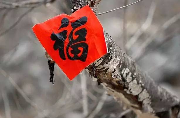 来！试试手气，看看能不能接住这些“福”