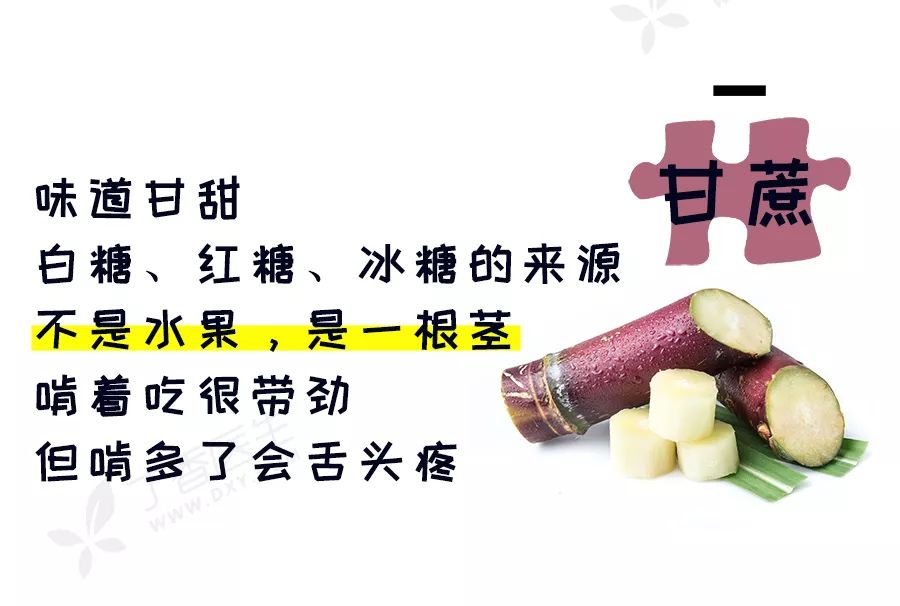 冬天水果好吃的推荐,冬天好吃的水果品种推荐有哪些