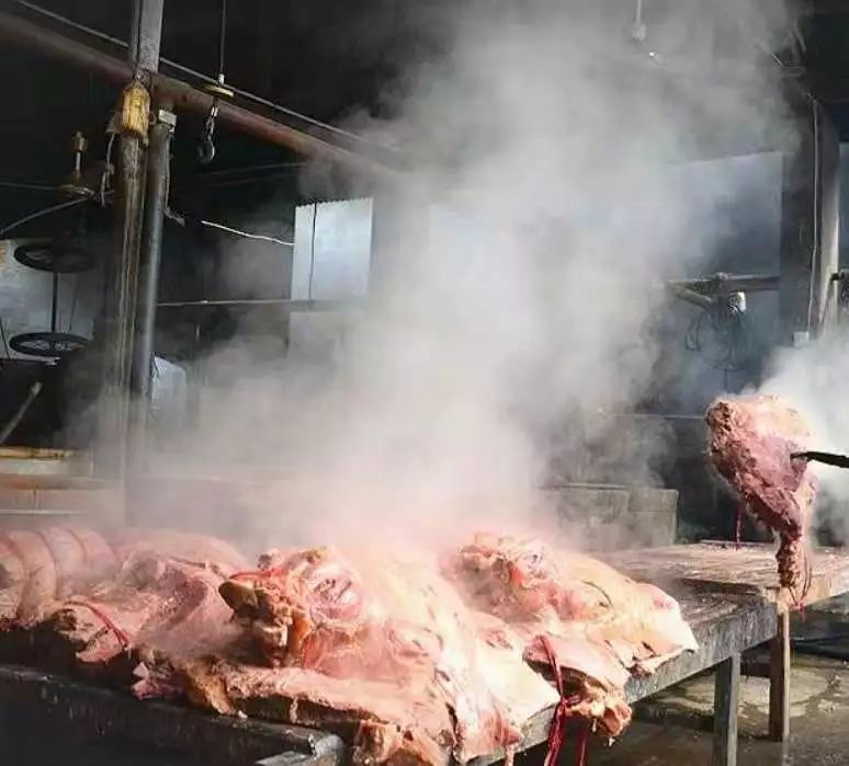 平时吃的牛肉都是什么部位,原来吃牛肉也有这些功效