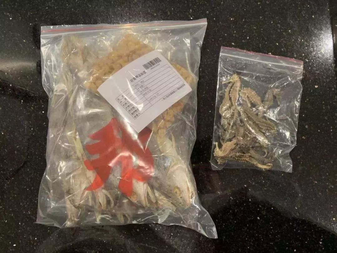 去港澳有什么不能带,港澳入境需要关注什么