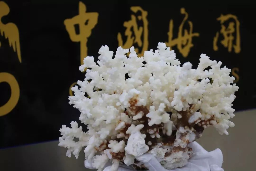 去港澳有什么不能带,港澳入境需要关注什么