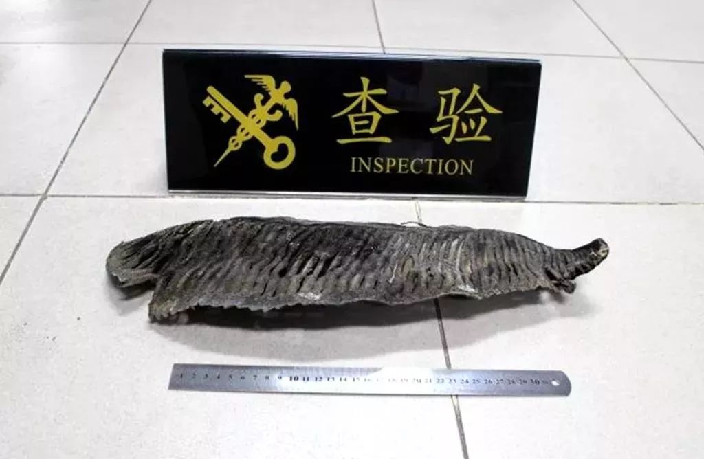 去港澳有什么不能带,港澳入境需要关注什么