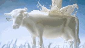 新西兰进口沐浴露,白菜价洗发水沐浴露