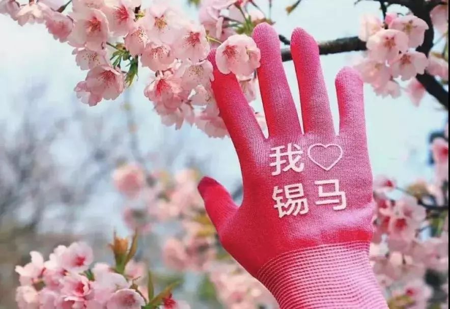 无锡马拉松候补名额1000以内,无锡马拉松候补价格表